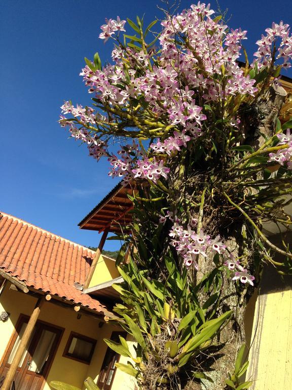 Morada Do Gabriel